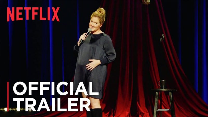 amy schumer growing