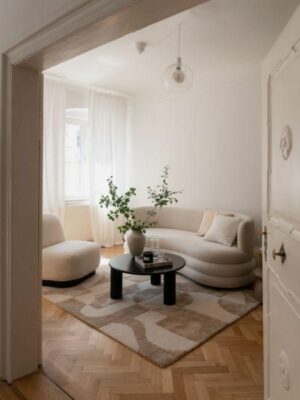 petit salon minimaliste avec canapé design