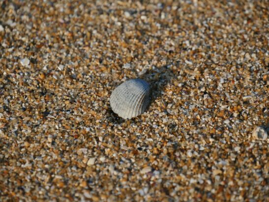 les plus belles plages de la rochelle