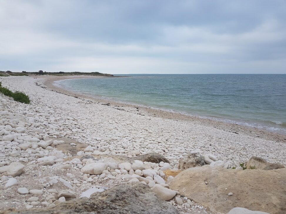 plage la rochelle tasdon