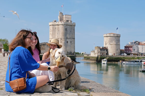 crèche canine la rochelle